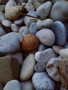 14054933_1169078846484386_1758745193491867961_n