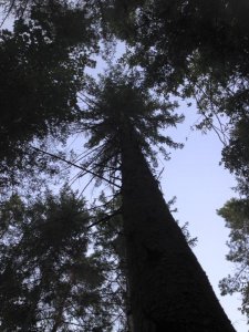 14079613_1169075243151413_114647428540219268_n