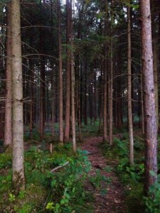 14117816_1169075056484765_6300476528076301314_n