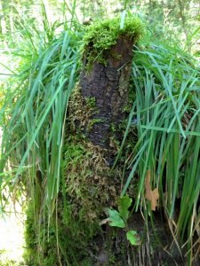 14202696_1173070849418519_230139146614867703_n